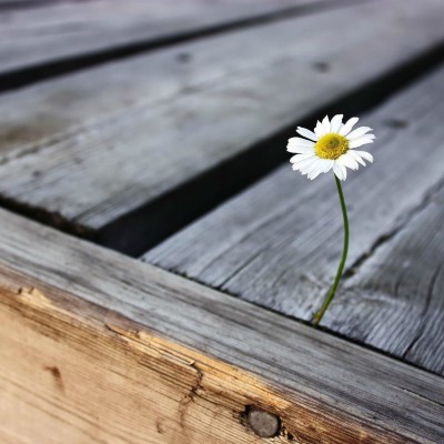 1920 x 1080 HD Wallpapers 2634